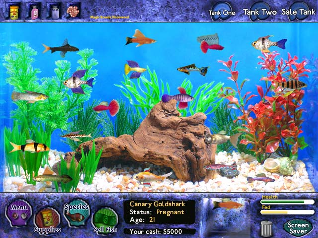 big fish online games for mac